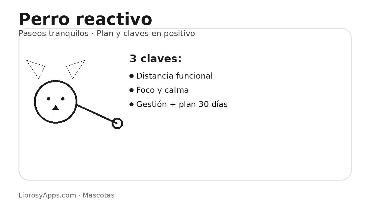 Perro reactivo: claves para paseos tranquilos en positivo